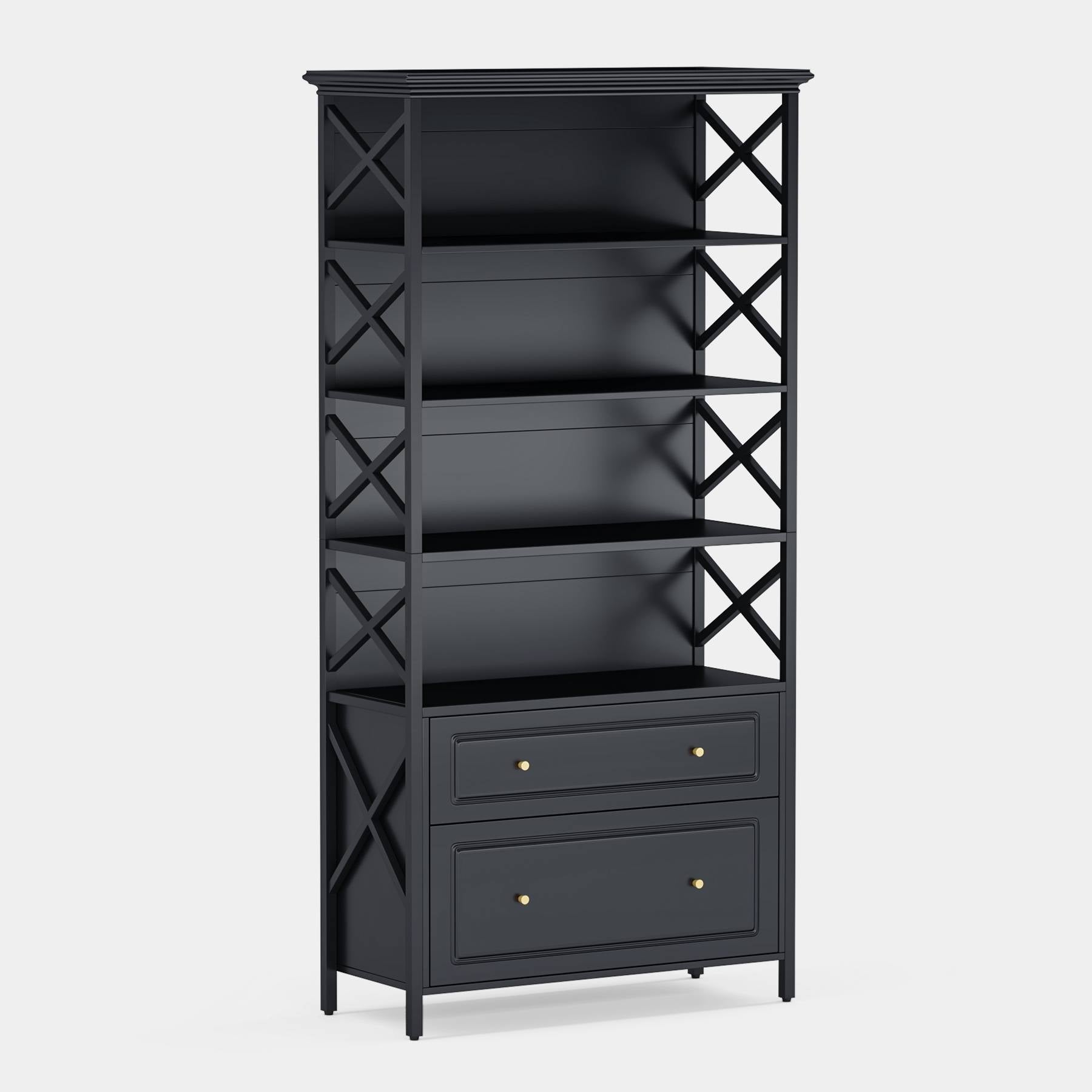 2-Drawer File Cabinet, Vertical Filing Cabinet with Storage Shelves (cm)